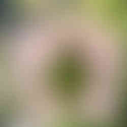 recycled tote bag greenman pattern