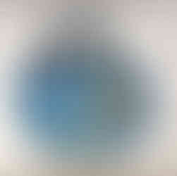 recycled lunch bags bird pattern