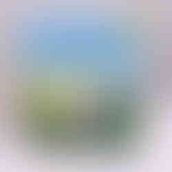 Harry the happy mouse book