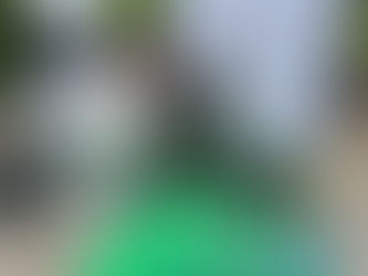 New Project - ‘Inspired by the Forest' - Local art & Dean Heritage Centre