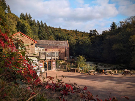 Dean Heritage Centre Forest of Dean