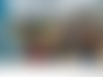 WASH Legislative Caucus Highlights Urgent Need for Stronger Investment in Rural Services Following ACDP Assessment Visit