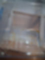 20250418_113916.jpg