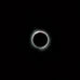 In the Stars August 9-16, 2026 . . . Shining Light on the Astrology of the Week