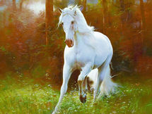 In the Stars February 15-22, 2026 . . . Shining Light on the Astrology of the Week