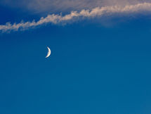 In the Stars July 11-19, 2026 . . . Shining Light on the Astrology of the Week