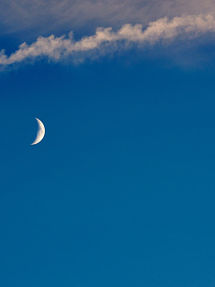 In the Stars July 11-19, 2026 . . . Shining Light on the Astrology of the Week