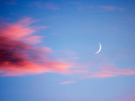 In the Stars June 14-21, 2026  . . . Shining Light on the Astrology of the Week