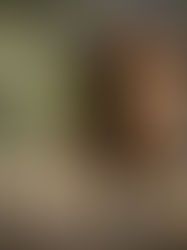 In the Stars April 21-28, 2024 . . . Shining Light on the Astrology of the Week