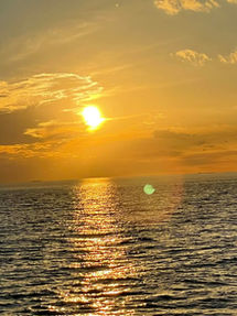 In the Stars August 2-9, 2026 . . . Shining Light on the Astrology of the Week