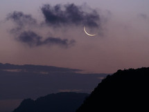 In the Stars May 17-24, 2020...shining light on the astrology of the week: New Moon