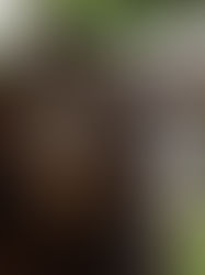 In the Stars April 5-12, 2026 . . . Shining Light on the Astrology of the Week