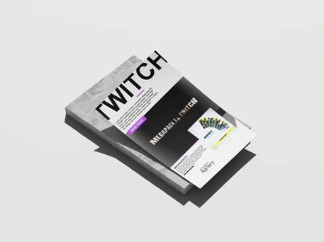 Flyertwitch.png
