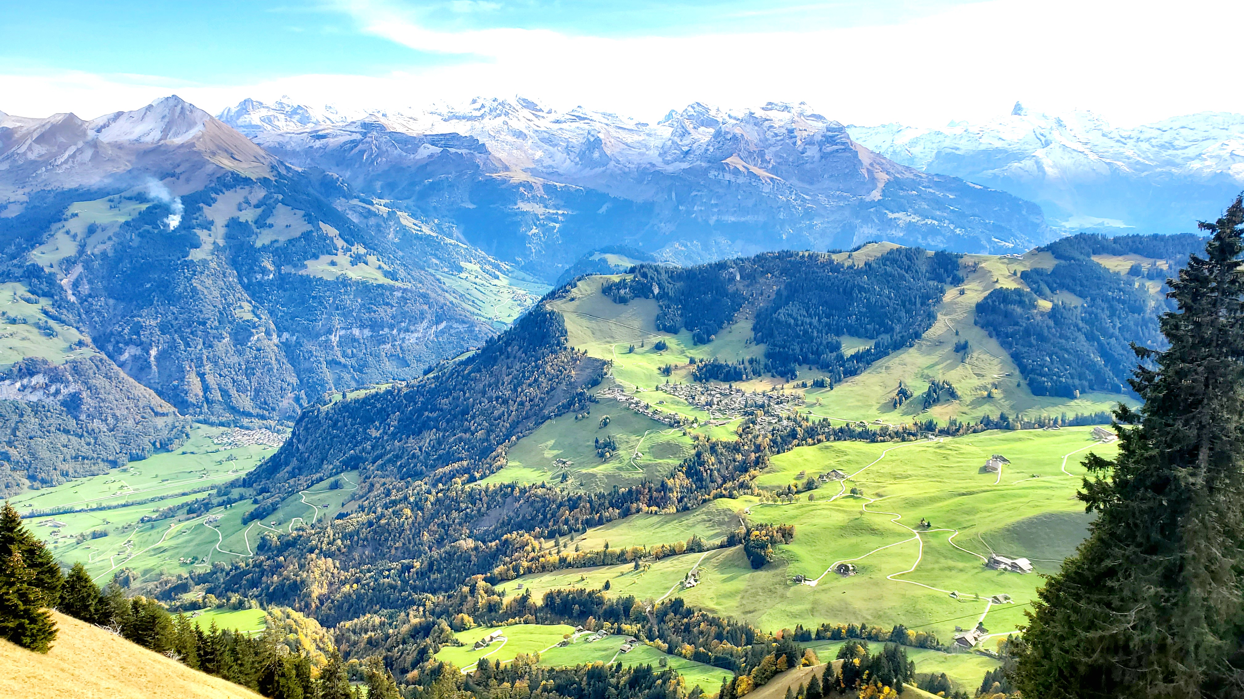 Gaddy Gadiel del Littorio