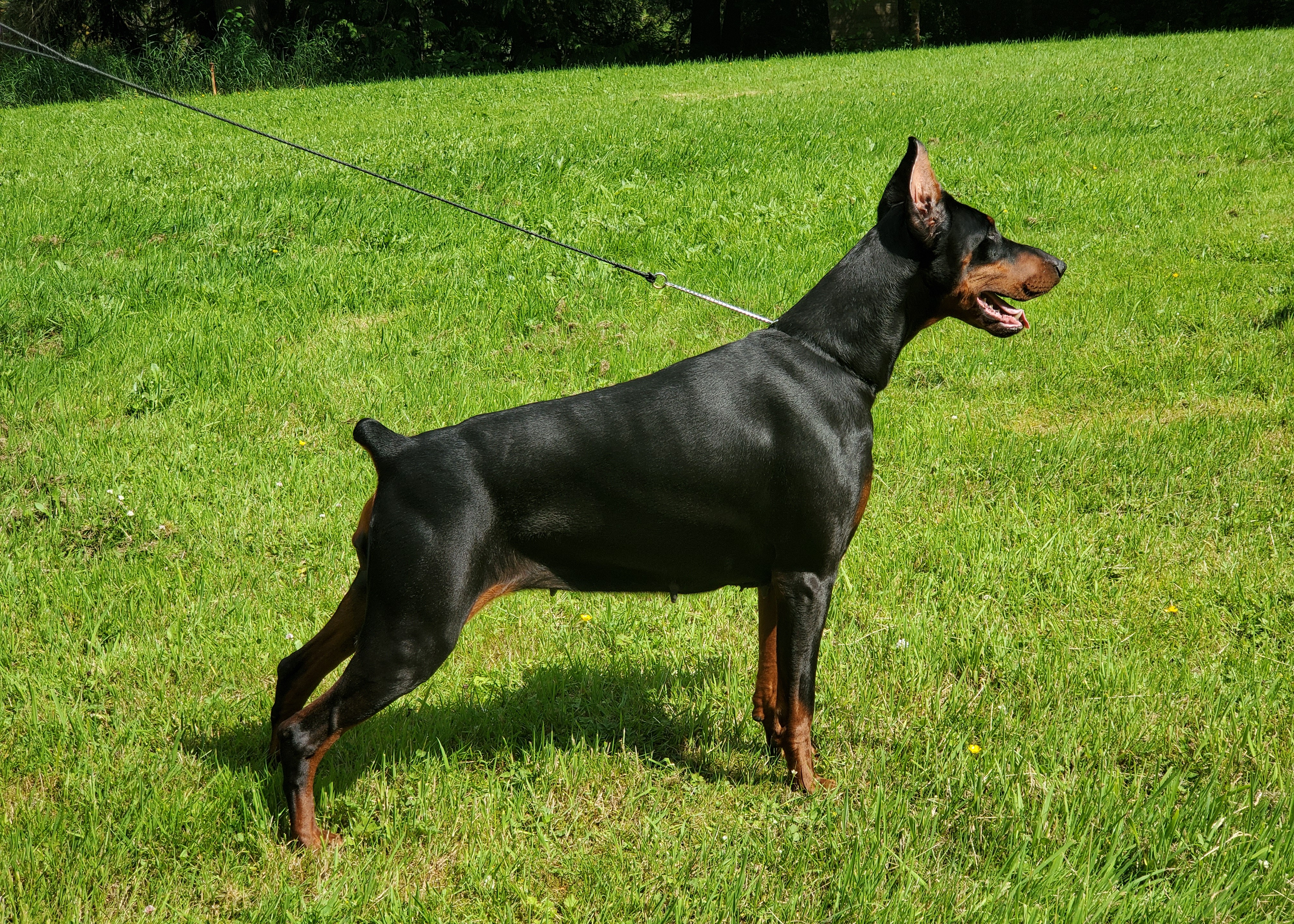 Happy Happyness del Littorio.jpg