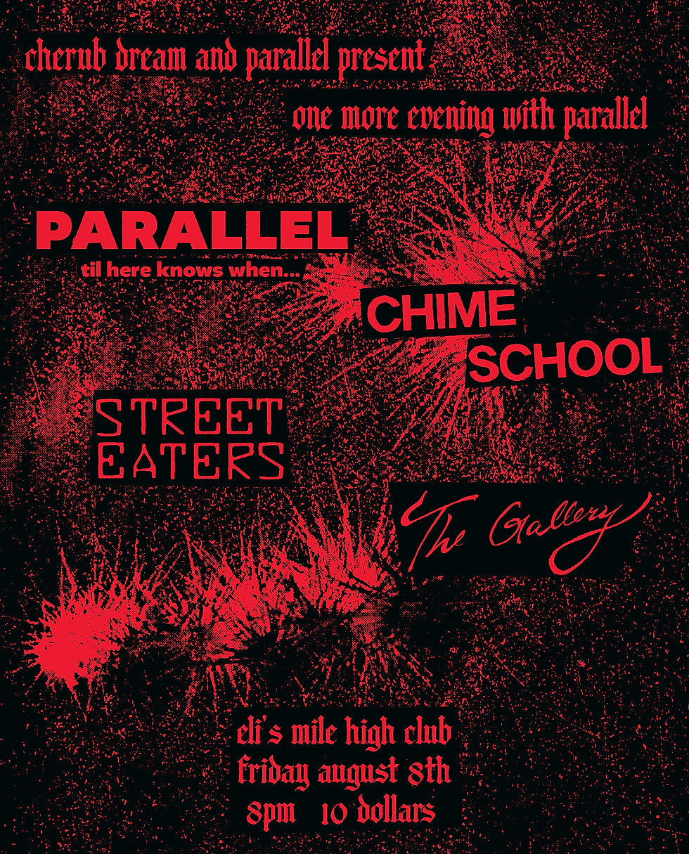 PARALLEL / CHIME SCHOOL / STREET EATERS / THE GALLERY