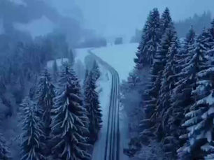 The unstoppable spirit and radiant energy of the SwissCham ASIA community light the way for global collaboration and impact!