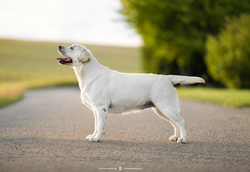 484753296_3987123674940569_6988671243178880562_n_edited