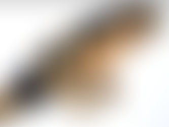 Upgrading Your Sax Gear (Mouthpiece/Reeds)