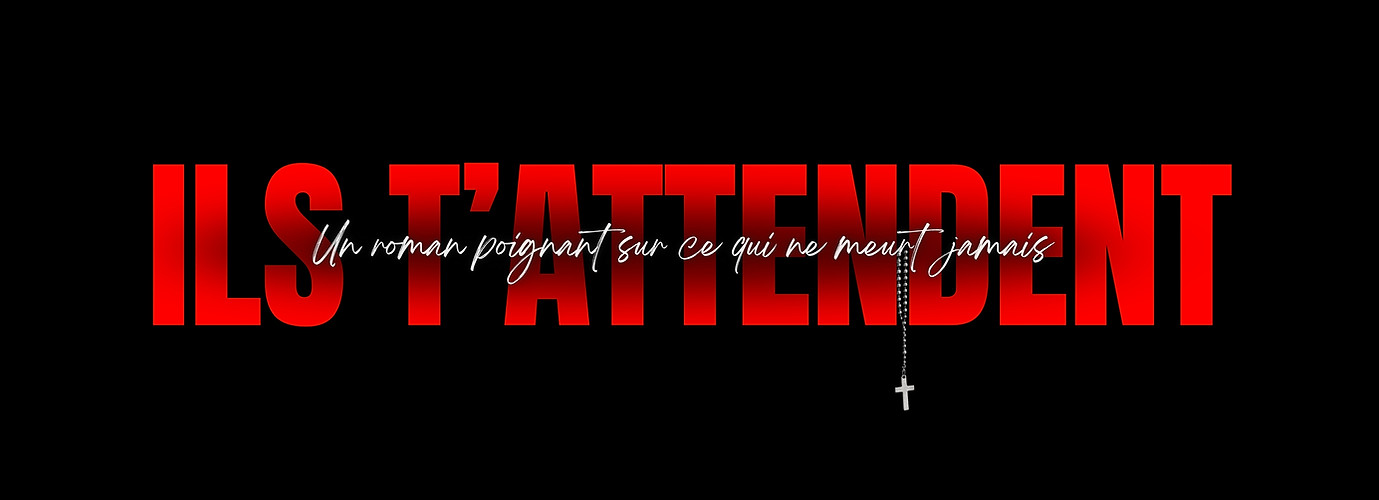 ILS T'ATTENDENT ROMAN DAVID BANVILLE.jpg