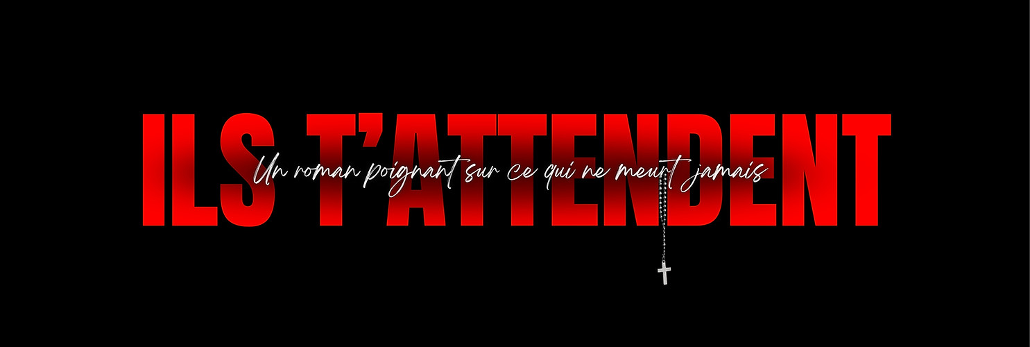 ILS T'ATTENDENT ROMAN DAVID BANVILLE.jpg