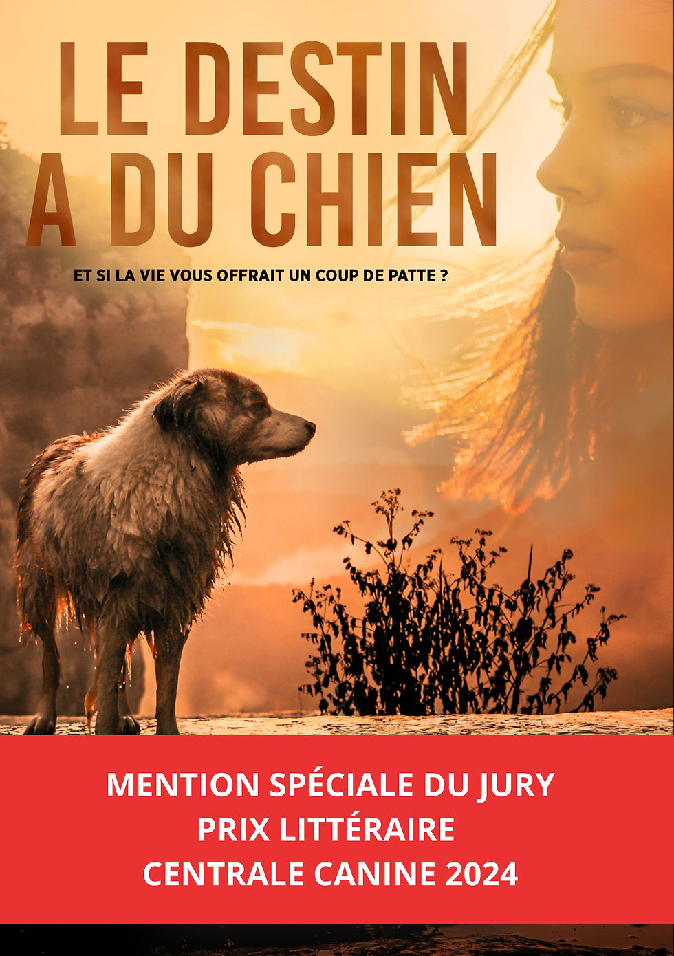 LE DESTIN A DU CHIEN