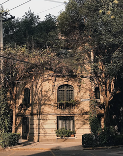 Roma - Condesa