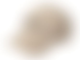 MODERNIST PERSONALITY SWEATSHIRT