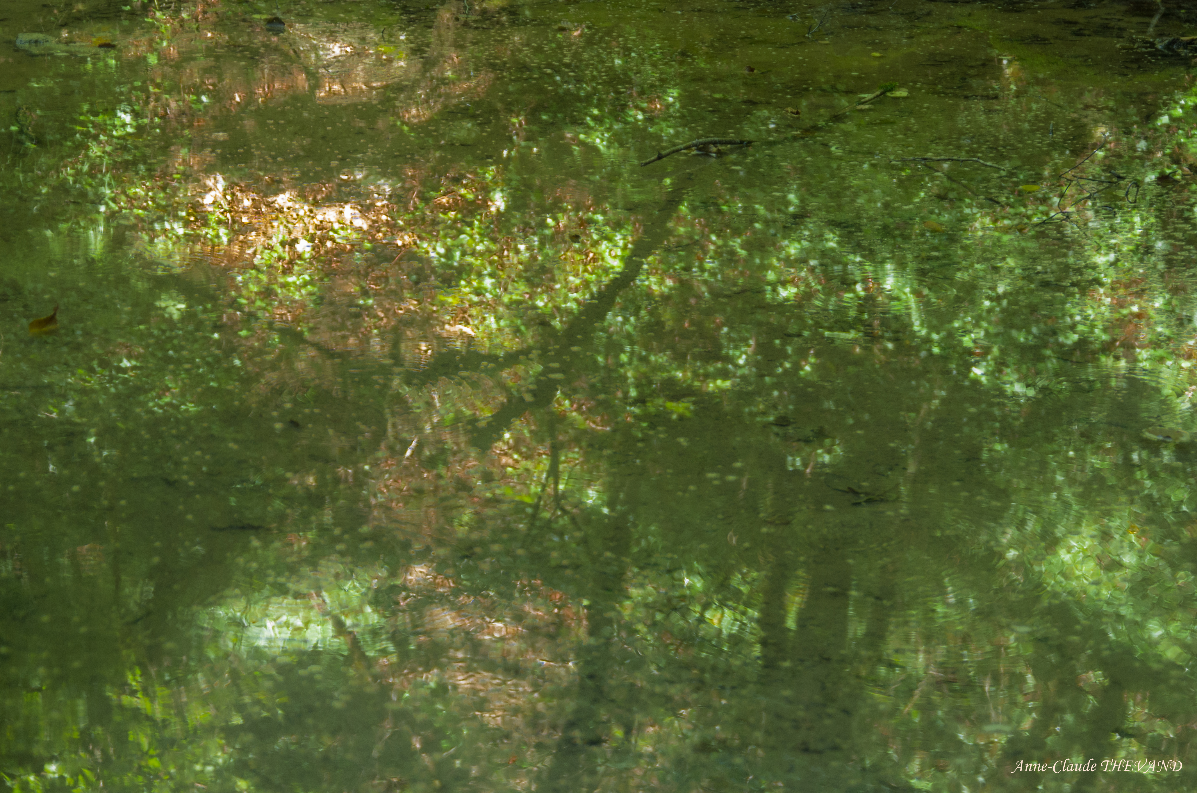 Impression verte et cuivrée