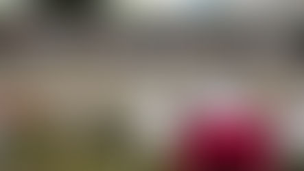 L'art s'expose au Vide Jardin du Merlan