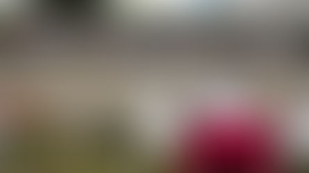 L'art s'expose au Vide Jardin du Merlan