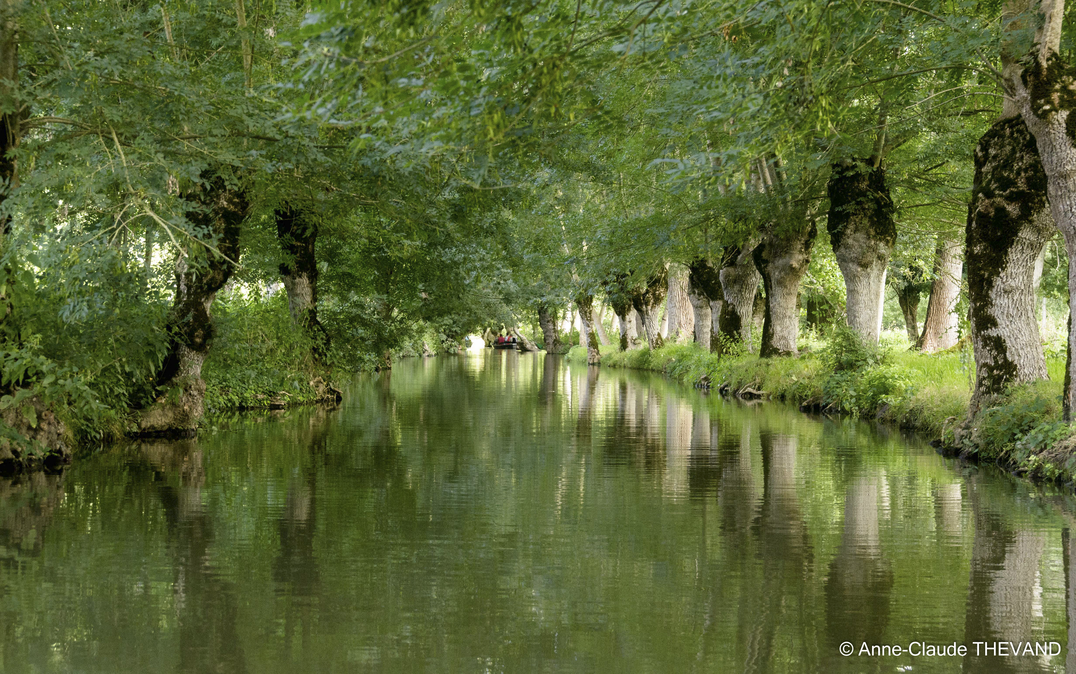 Marais poitevin