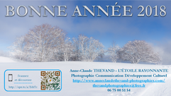 Bonne Année 2018
