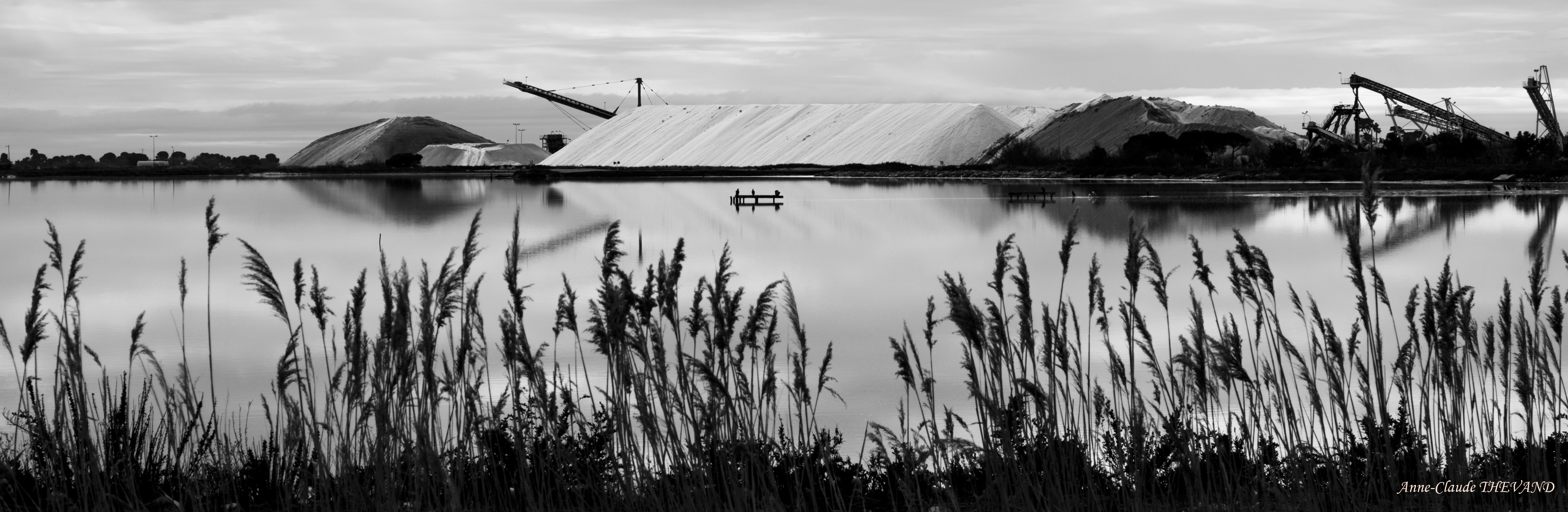 Saline