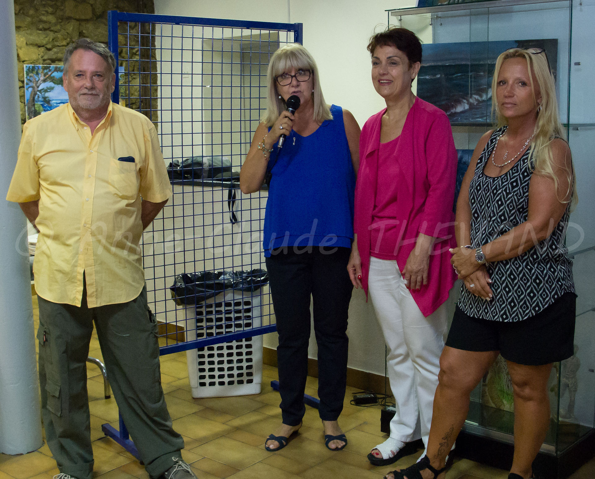 Exposition peinture et photographie au CMA des Chartreux 13 9 16 ACT (1 sur 1)-3
