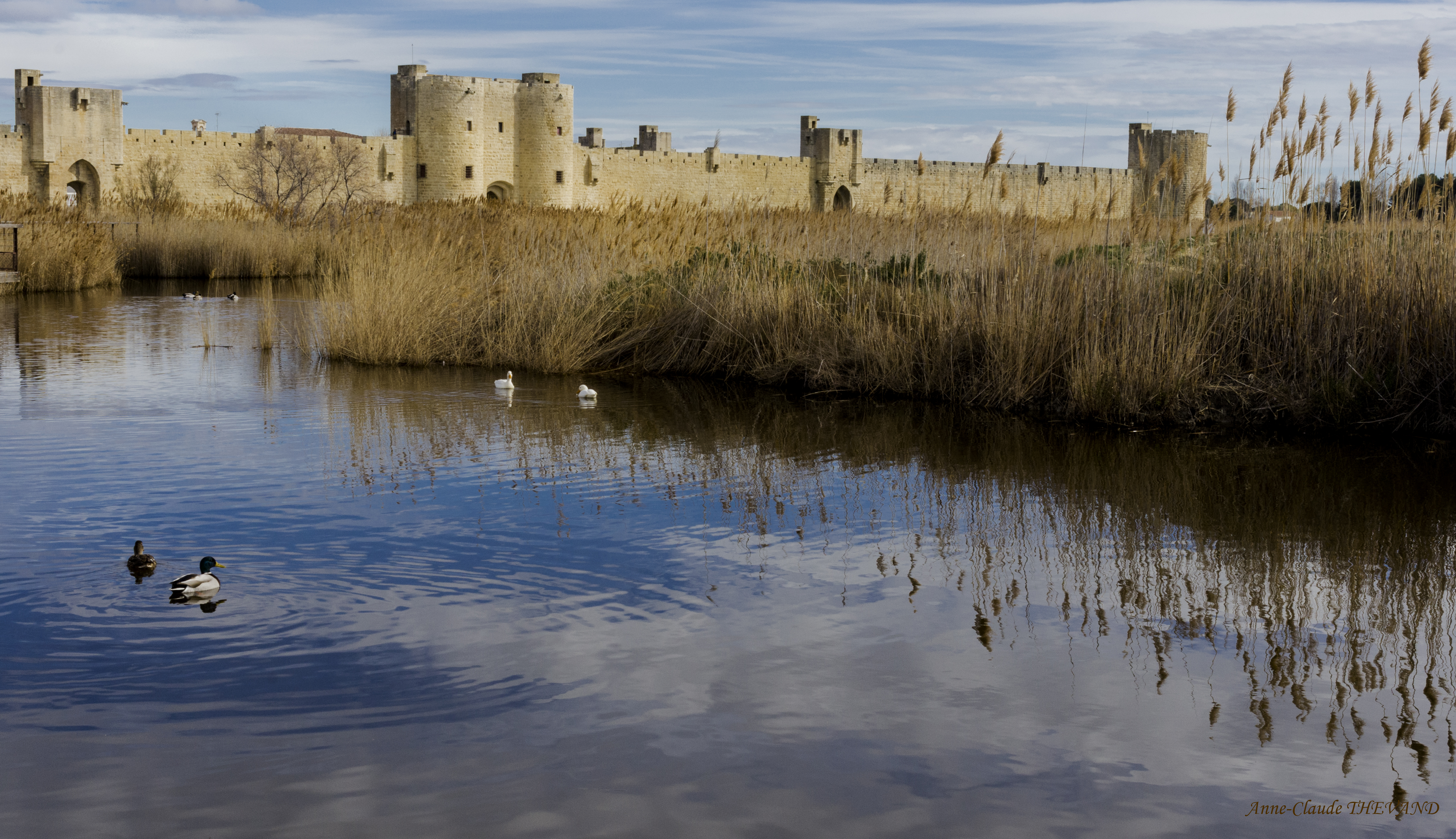 Rempart d'Aigues Mortes