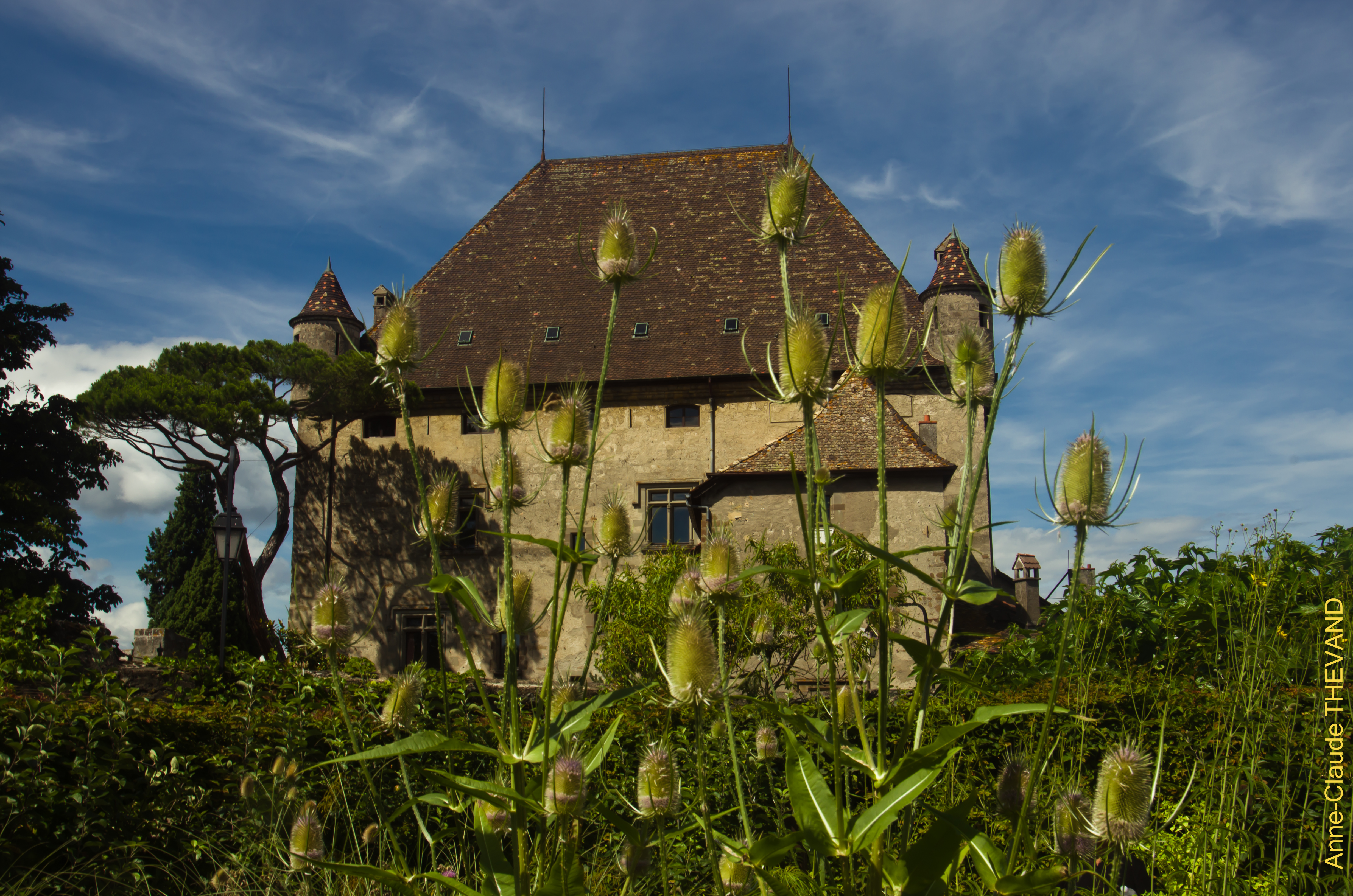 Mystère