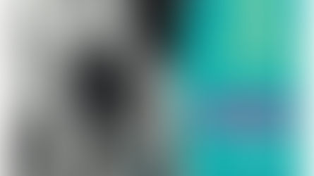 Festival du Palais Longchamp