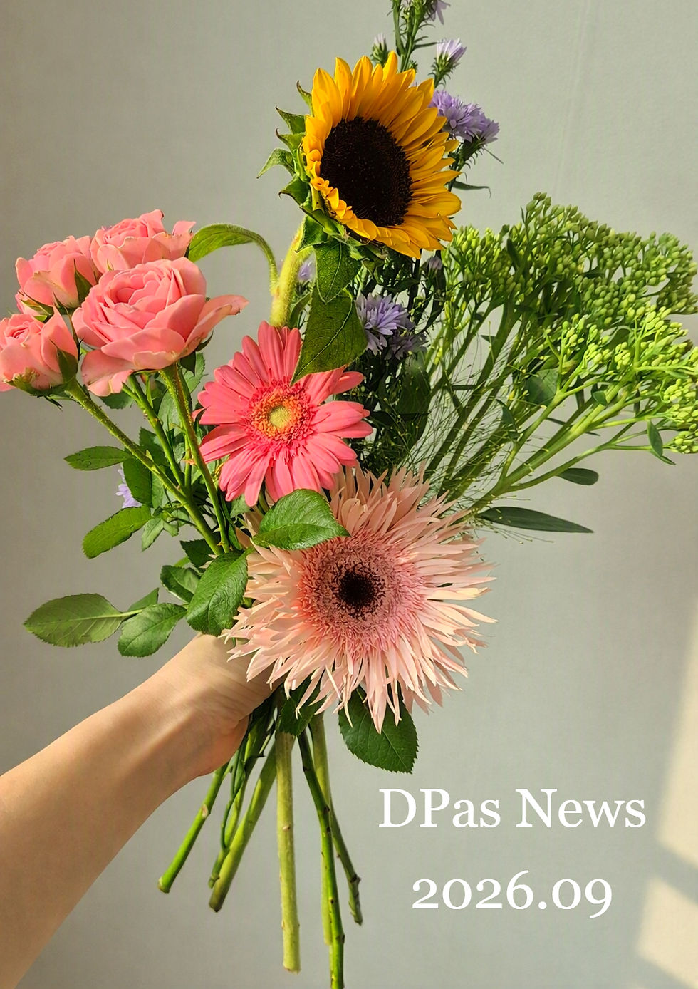 DPasニュース 2026.9月