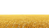tarunsimplify_httpss-Photoroom.jpg