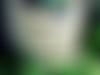 Liquid Chlorophyll is AMAZING! 