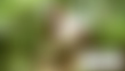 How To Remain Committed to Achieving BIG Goals with Sarah Begum