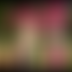 Phoebe Smith - extreme sleeping outdoors adventurer who thrives on heading off to the wildest locati