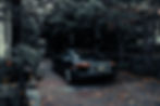 pexels-vladalex94-1402787.jpg