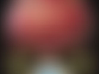 A December of Memories