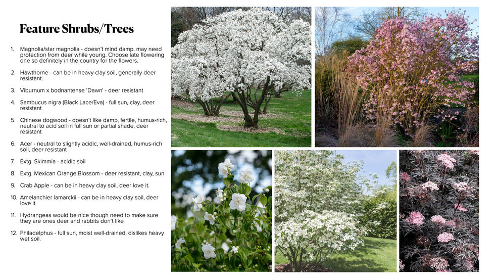 Brookwood.pdf.002