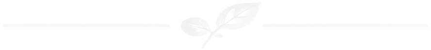image1_edited_edited.png
