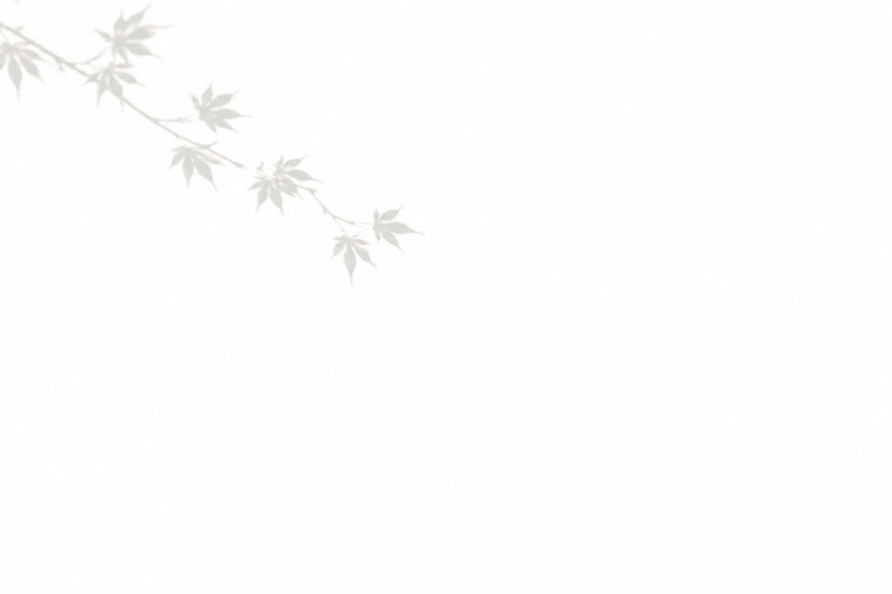 About us4.png