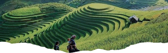 Thiết kế chưa có tên_edited_edited_edite