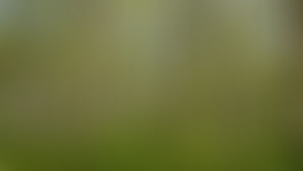 Beauty Actually Is Skin Deep